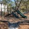 a playground with trees and a building